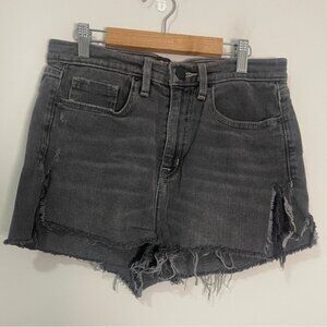 BDG Womens Shorts Size 29 Ash Black Twig High-Rise Cropped Upcycled Denim Bottom